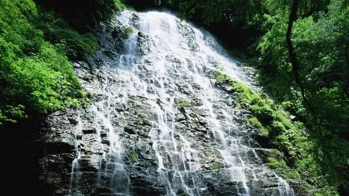 全自动节能